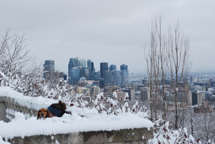 Montréal en bref — Montréal